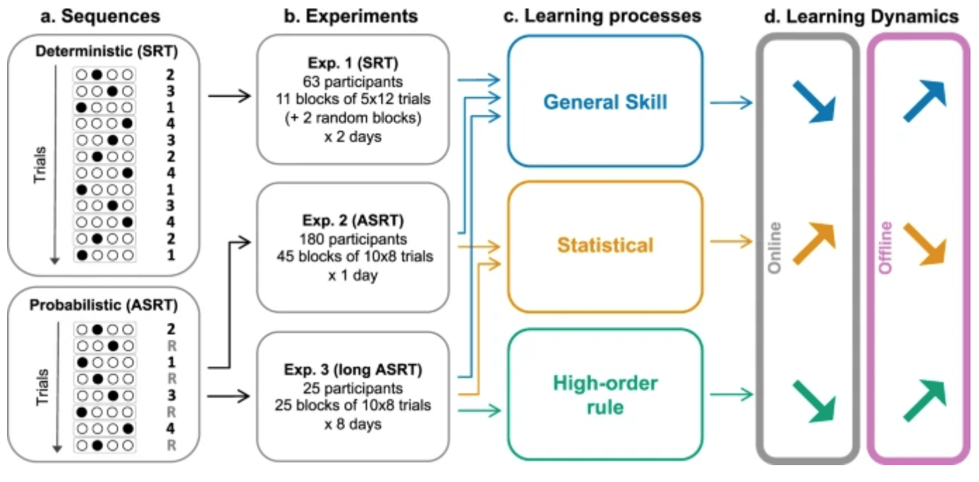 Micro-offline learning in statistical and high-order learning